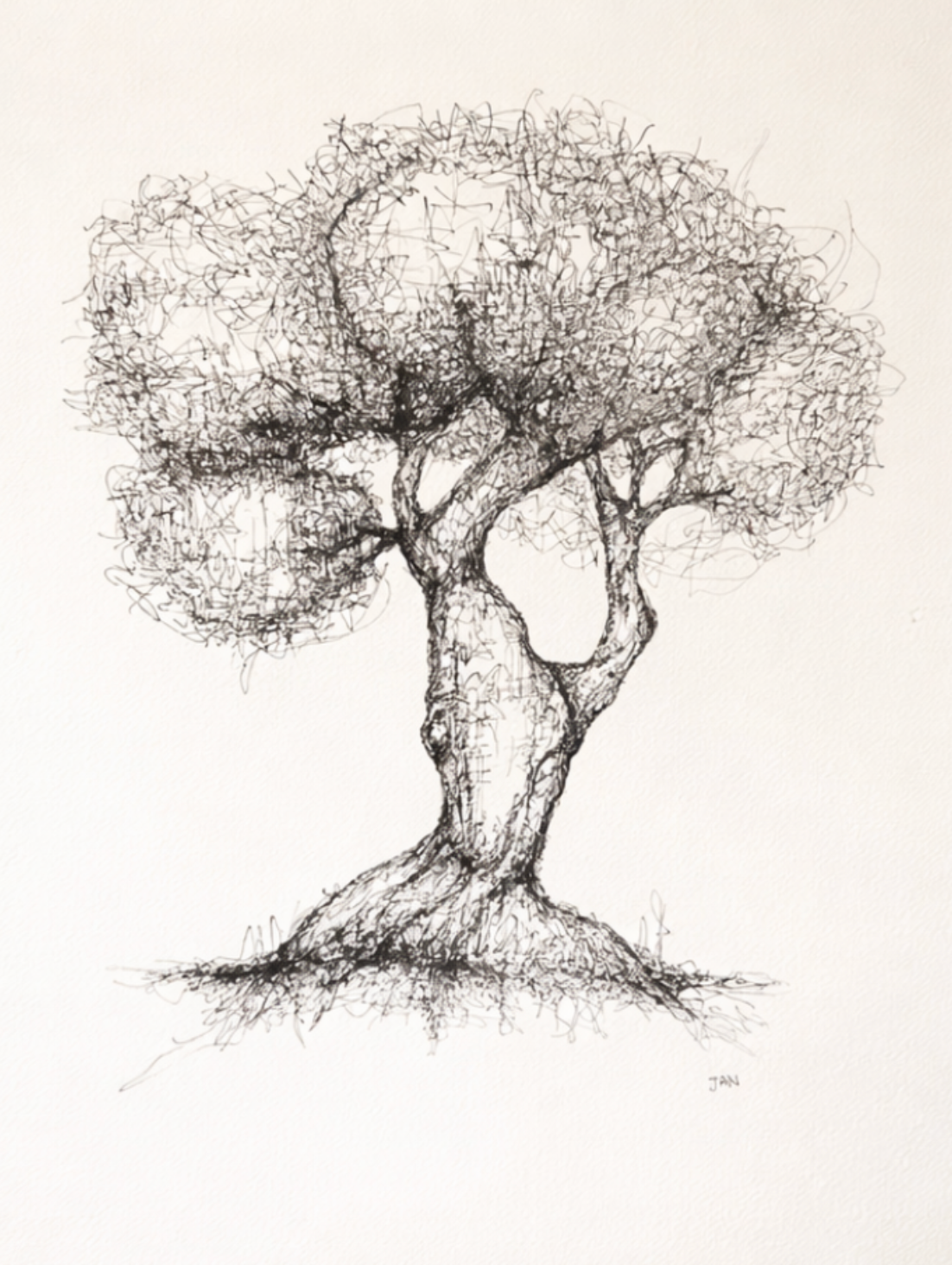 Minimalist ink drawing titled Tree Nr 4 by South African artist JAN featuring a detailed tree created with expressive line work